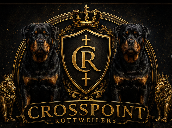 Crosspoint Rottweilers