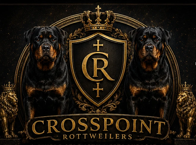 Crosspoint Rottweilers