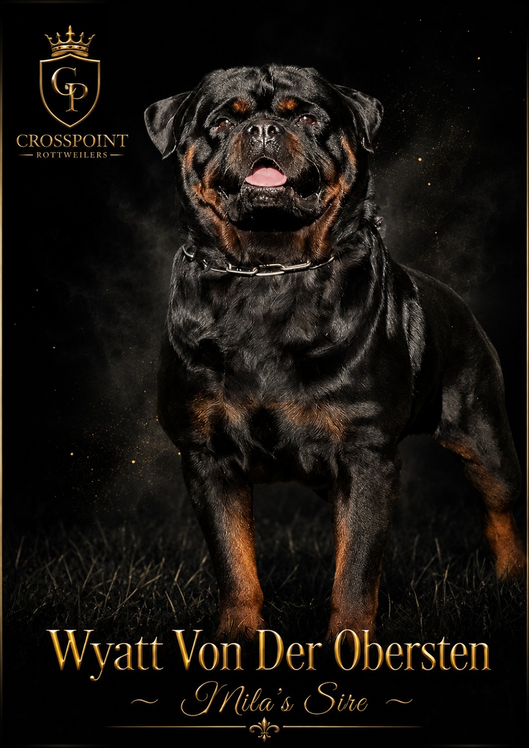 Wyatt Von Der Obersten — Mila's sire
