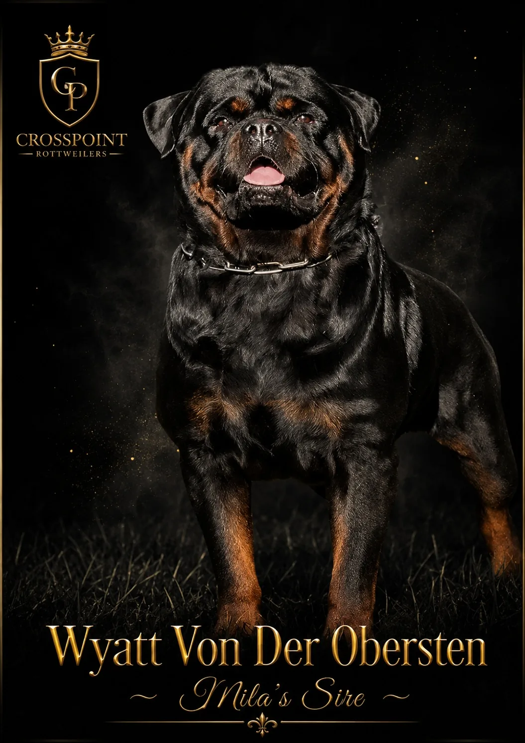 Wyatt Von Der Obersten — Mila's sire