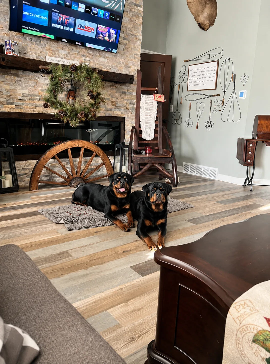 Two Crosspoint Rottweilers settled at home — Rottweiler temperament